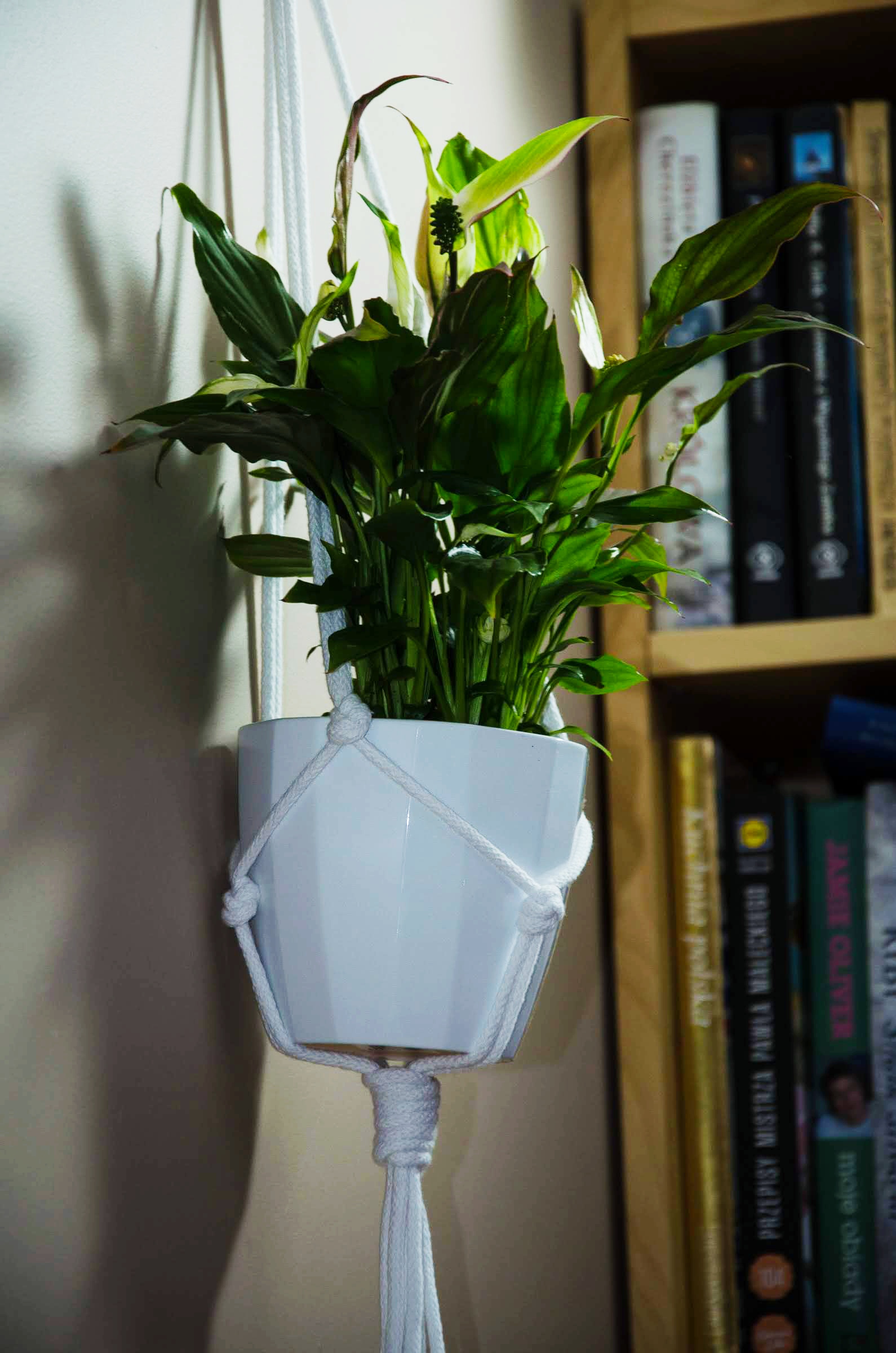 KWIETNIK ZE SZNURKA WISZĄCY MAKRAMA WYBÓR KOLORÓW Materiał wykonania inny