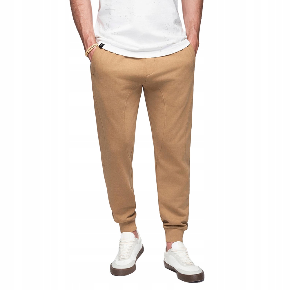 Spodnie męskie dresowe typu jogger brązowe V2 OM-PABS-0173 L