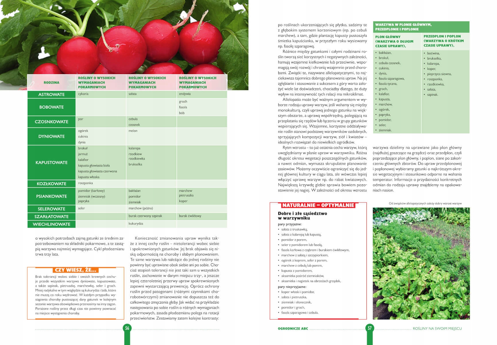 ROK W OGRODZIE Joanna Mikołajczyk OGRÓD I UPRAWA ROŚLIN ATLAS TWARDA ISBN 9788378453314