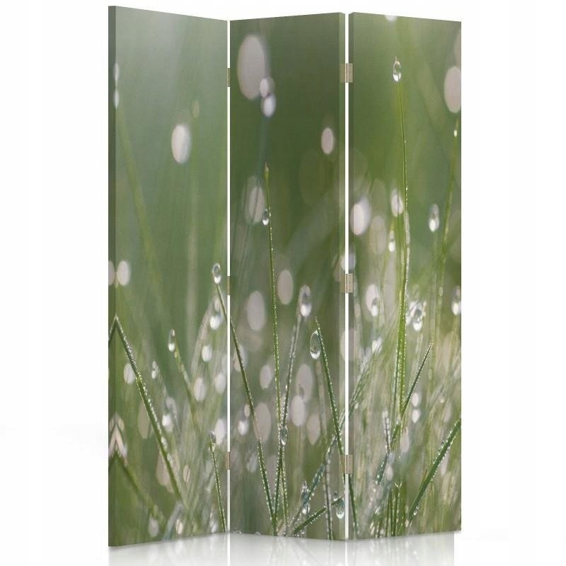 Paraván oboustranný otočný, Kapky rosy na trávě 110x170