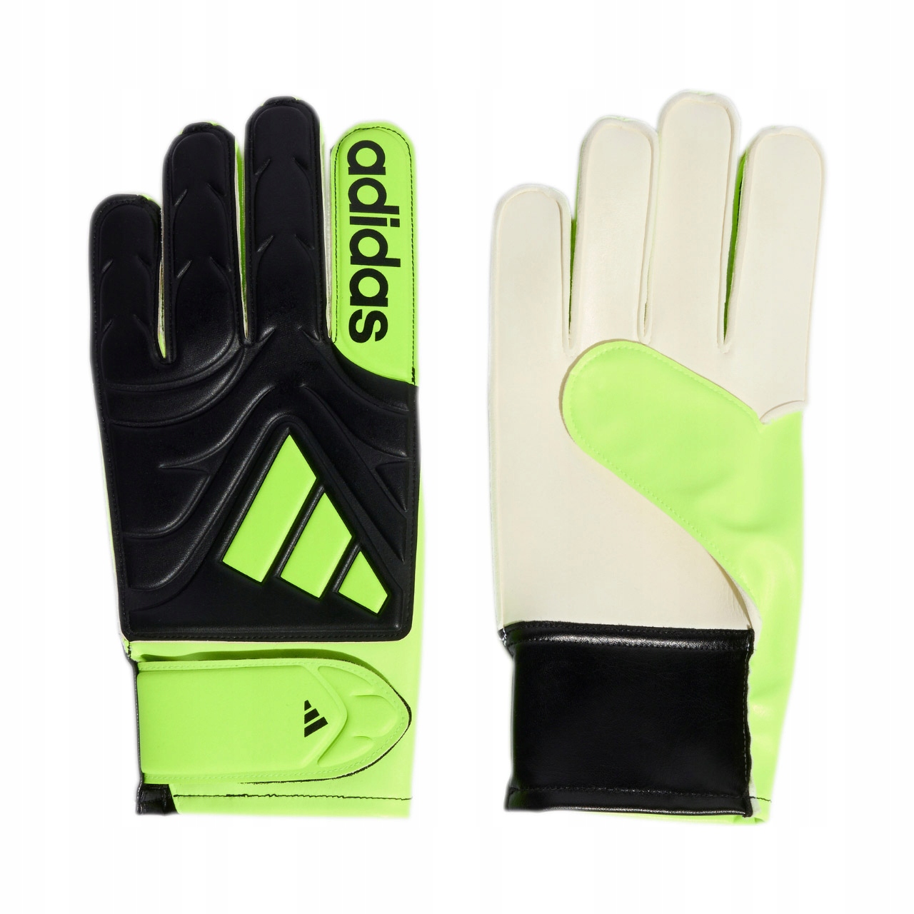 Rękawice bramkarskie adidas Copa Club czarno-zielone JN5340 10,5