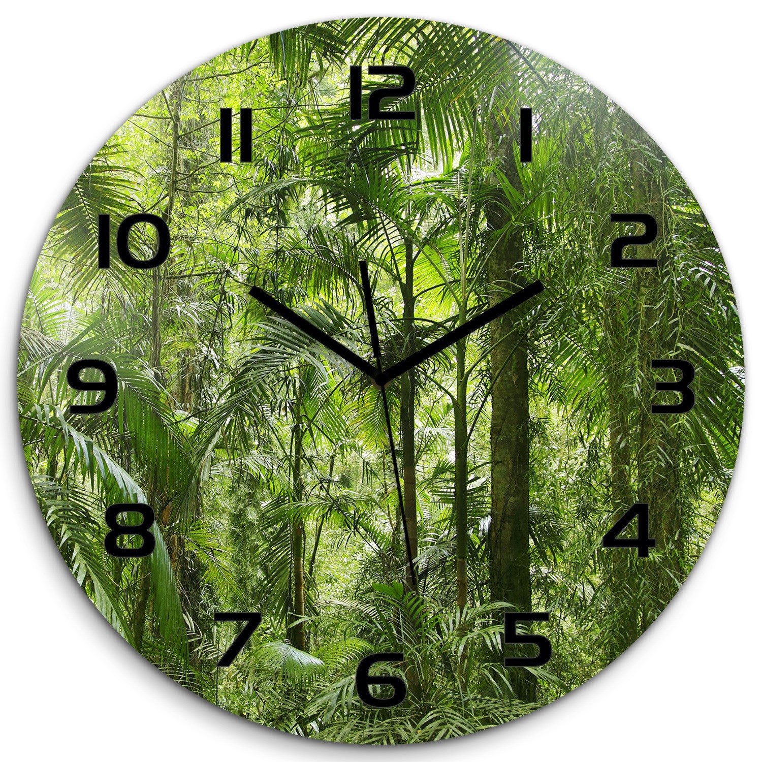 

Zegar ścienny ze szkła, duży Las tropikalny fi 60