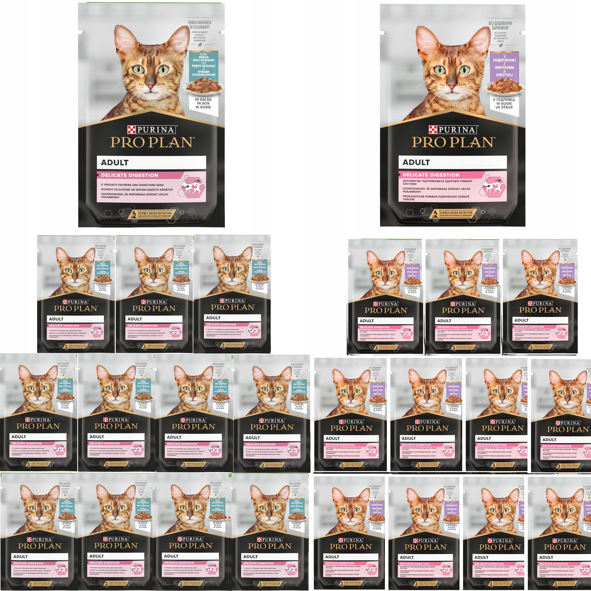 Levně Purina Pro Plan Delicate kočka MIX Krůta Ryba 24x85 g