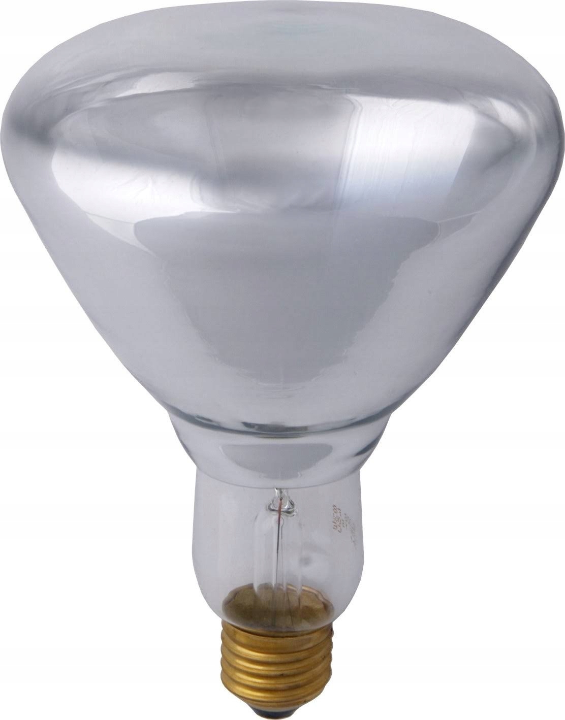 Лампочка для обогрева. Лампа инфракрасная Lightbest Erk r125 175w. ИК лампа 175 w. Инфракрасная лампа 100 Вт. Тепловая лампа на 250 Вт.
