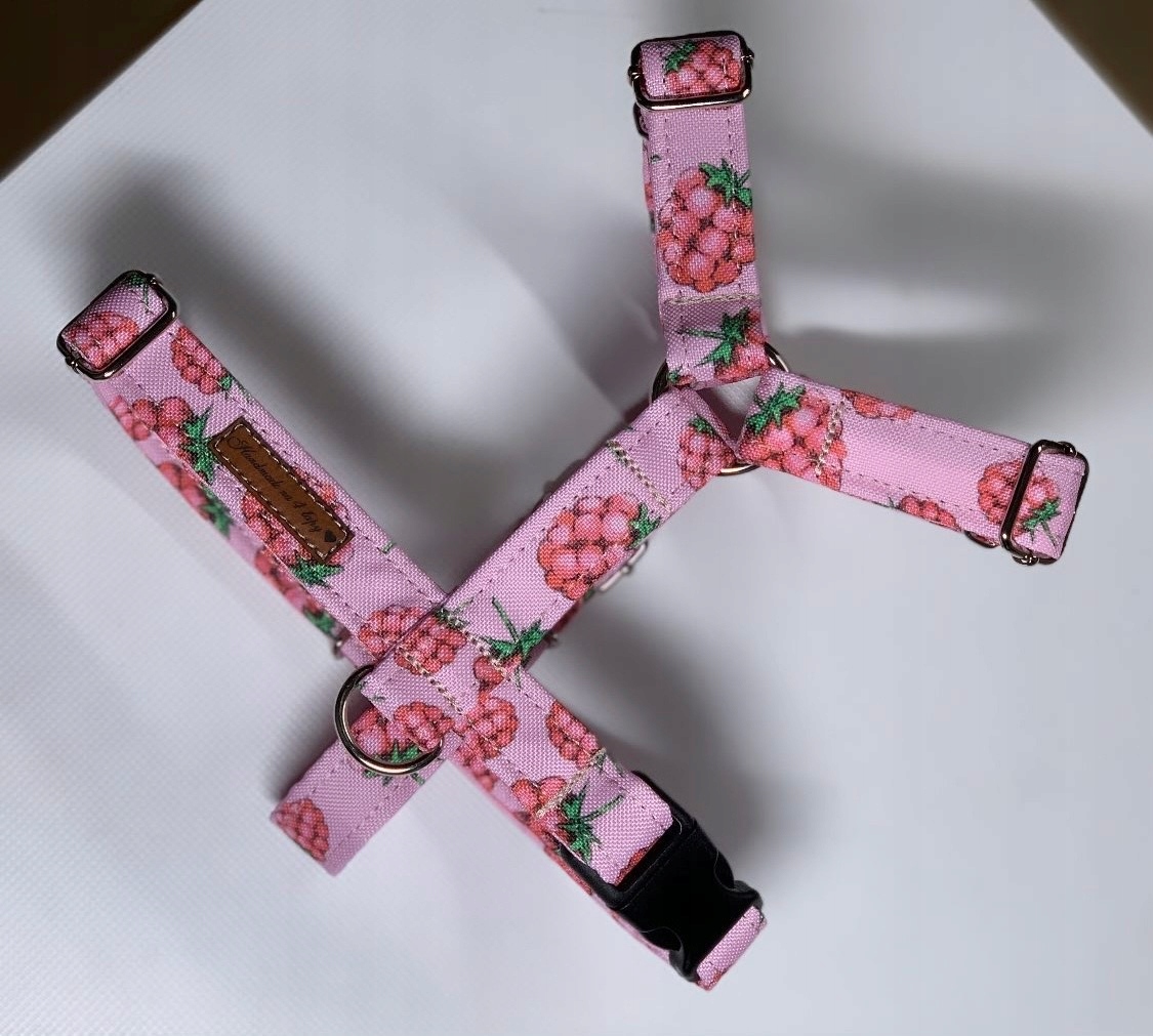 Levně Postroj pro psa quard pes