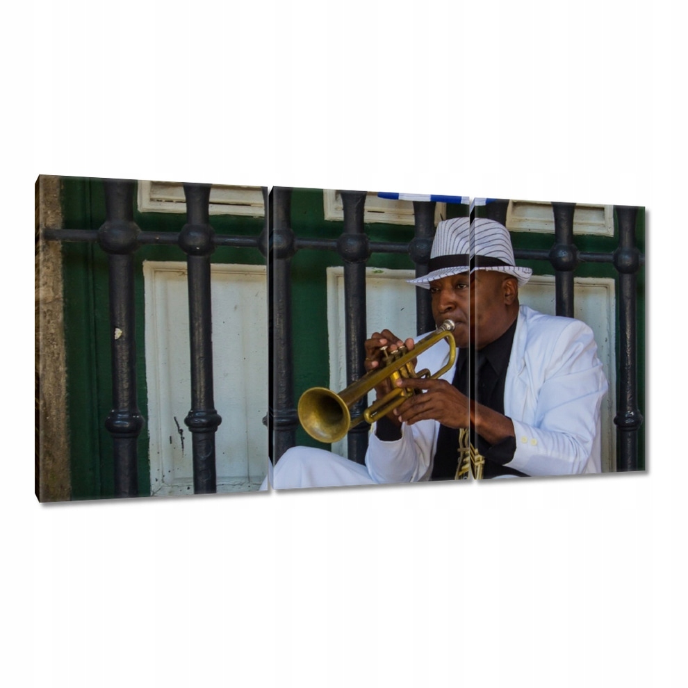 

Obrazy 120x60 Trębacz