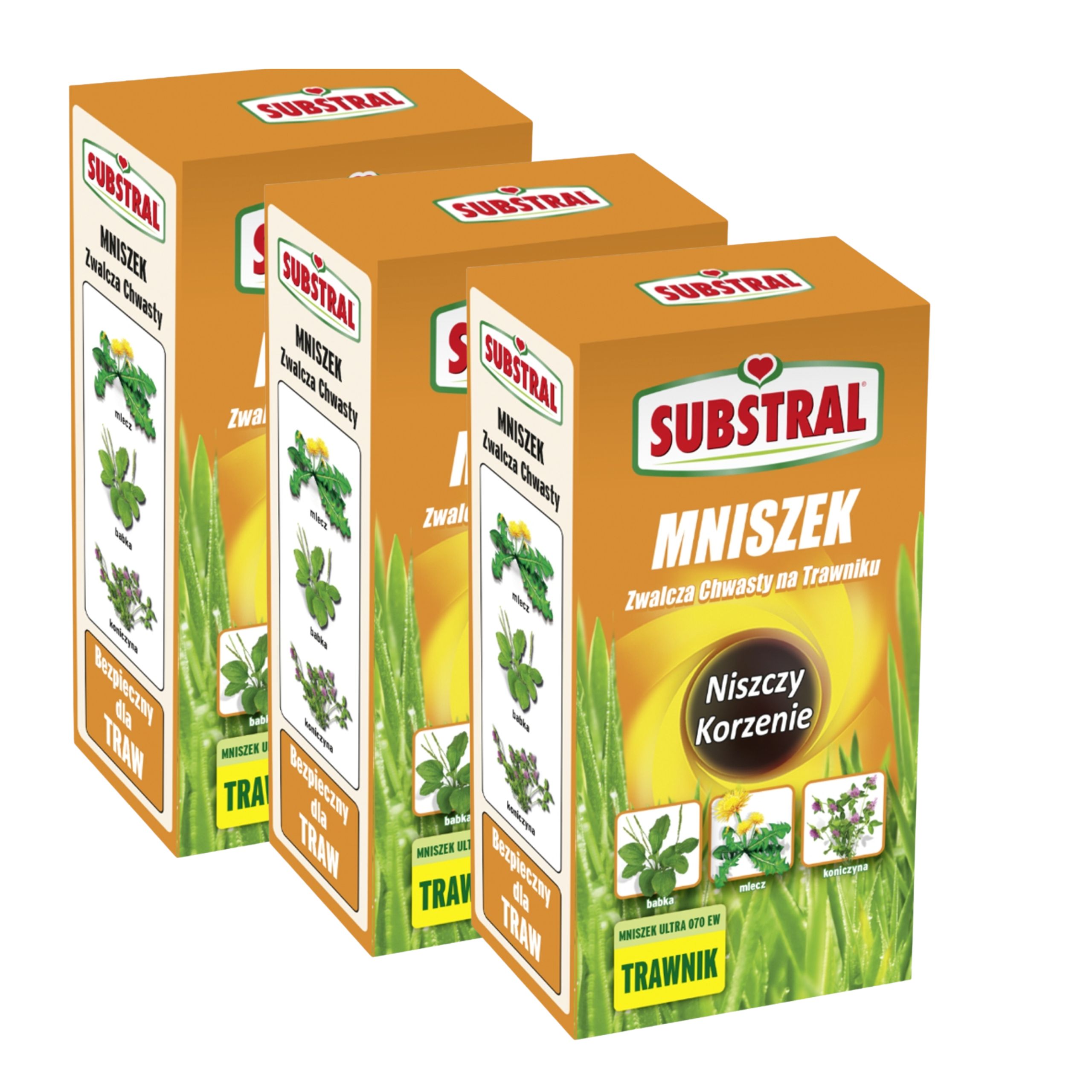 Substral Mniszek 3x250 ml Na Mlecze Koniczynę Babki Środek Trawnikowy