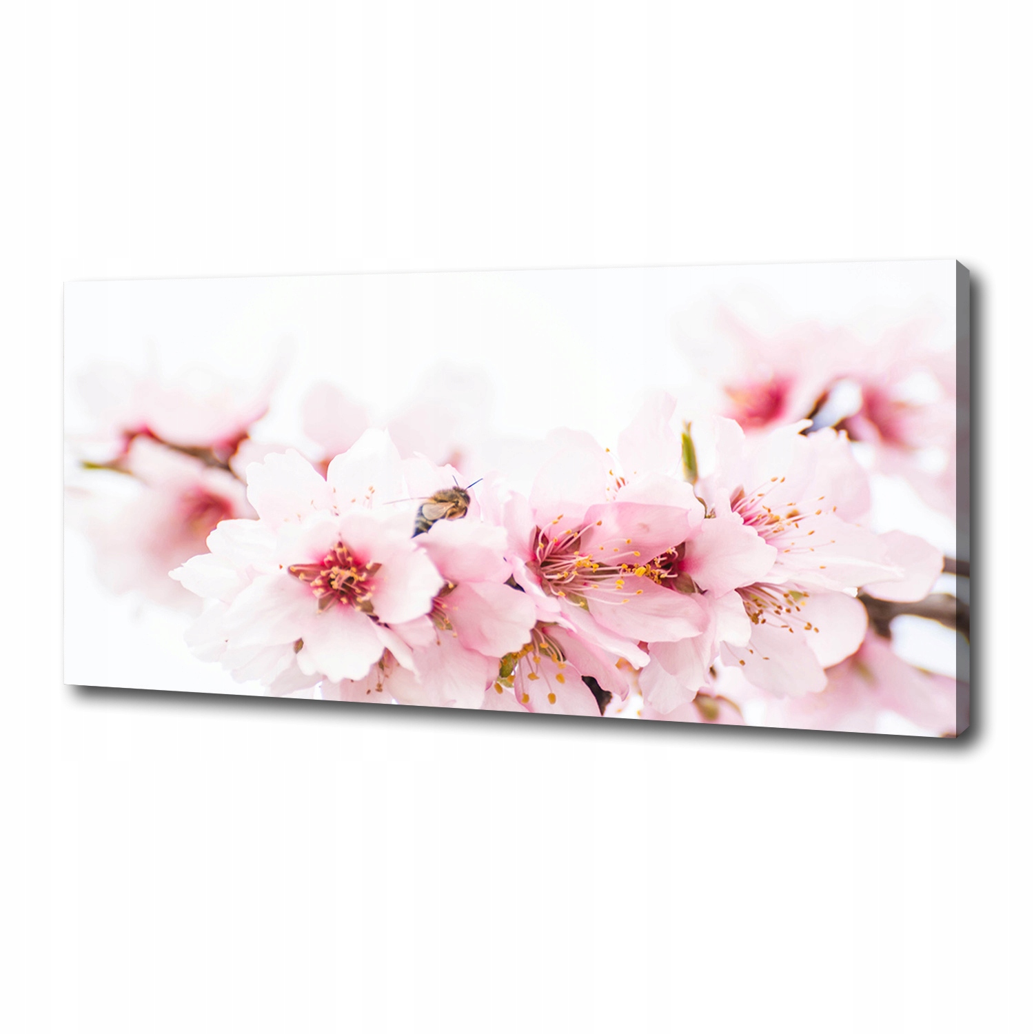 

Foto obraz duży na płótnie Kwiaty wiśni 125x50 cm