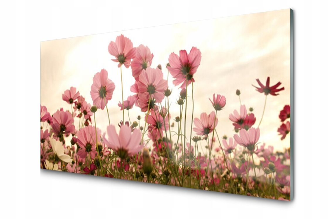 

Panel szklany Płytka Kwiaty Polne Łąka 140x70