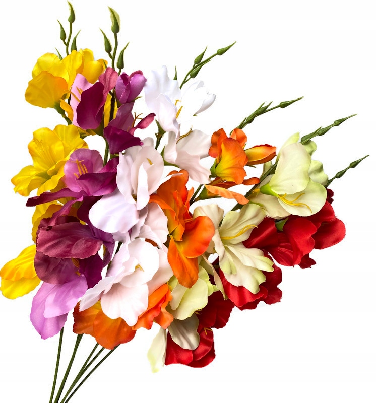 

Bukiet Mieczyk Mix Kolorów 56 cm sztuczne kwiaty