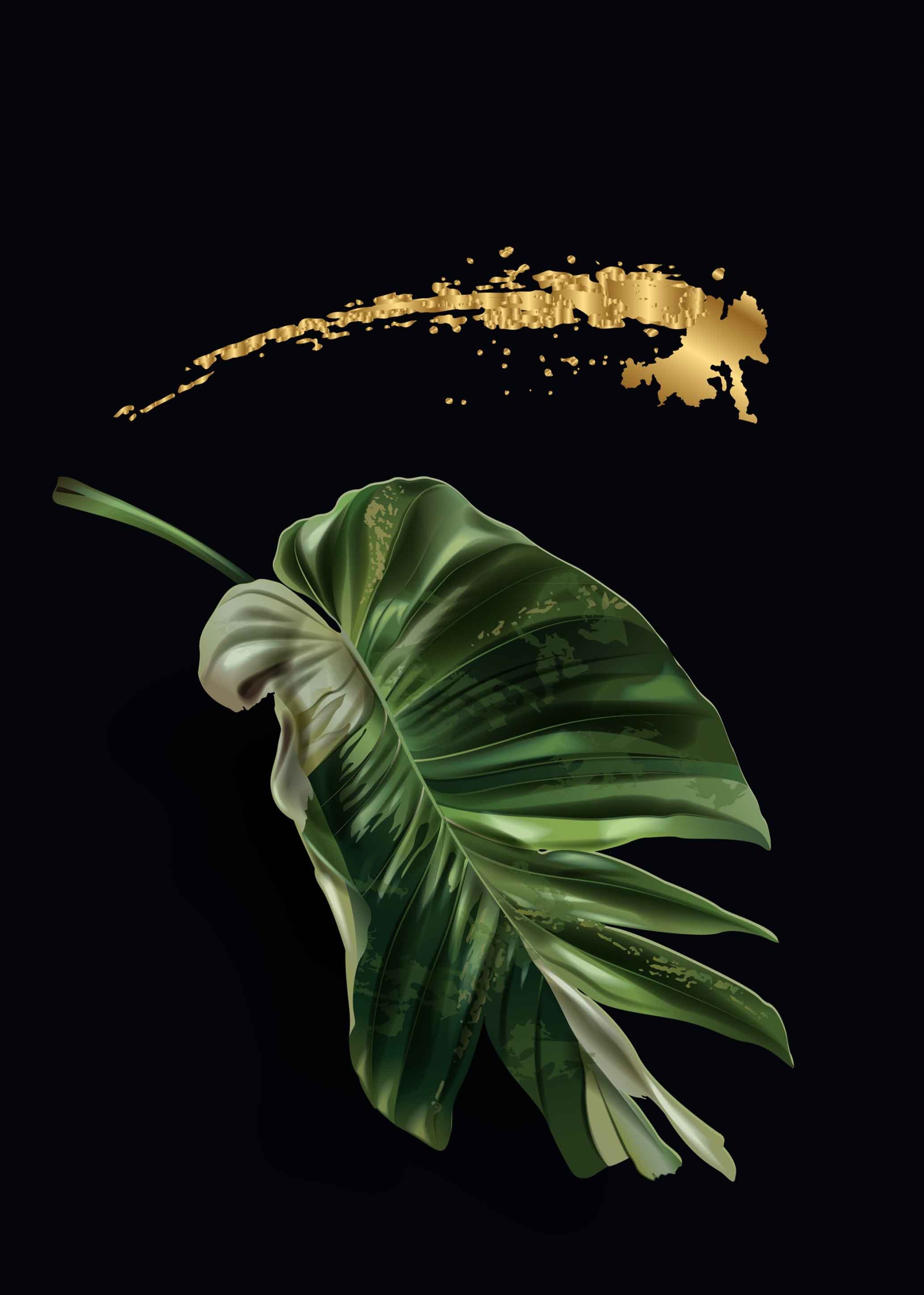 

Monstera Plakat Plakaty do ramki B2 70x50cm
