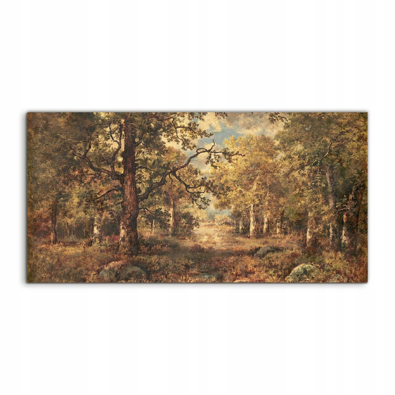 

Obraz akrylowy 100x50 ścienny Jesień Las Krajobraz