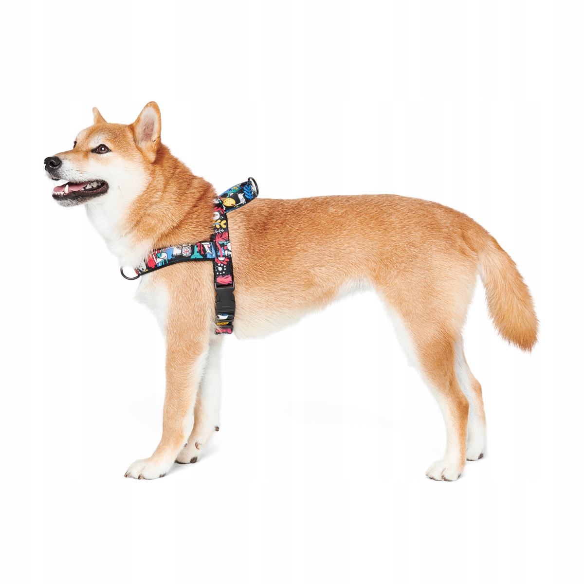 

John Dog Barcelona szelki norweskie dla psa L