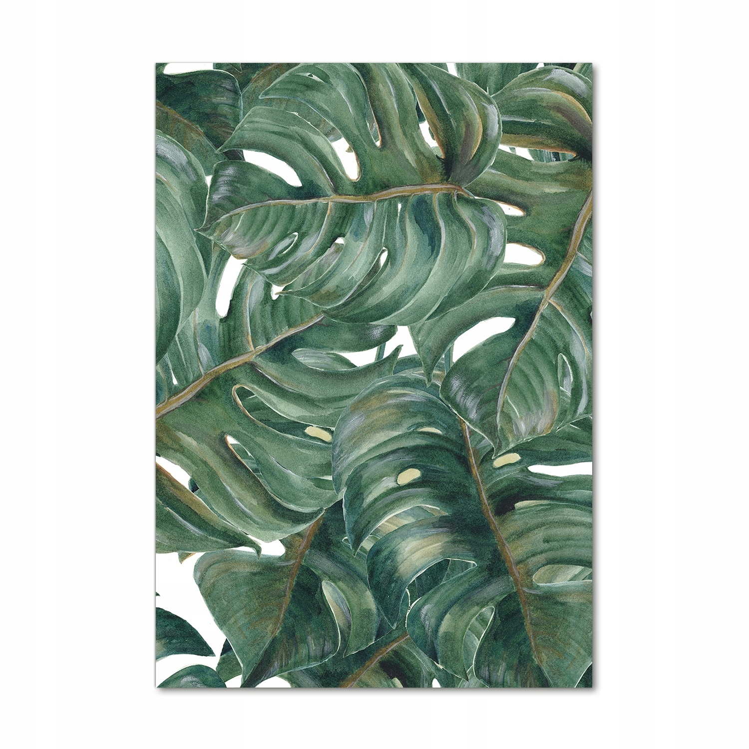 

Foto-obraz szkło hartowane Monstera 70x100 cm