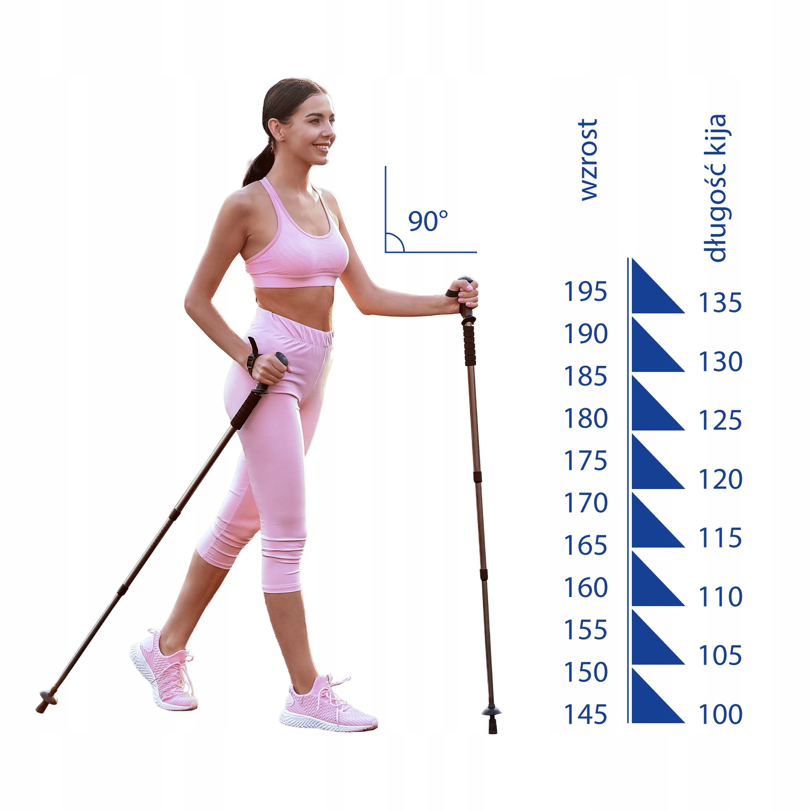 Kije nordic walking Viking Pro-Trainer dł. 125cm Marka VIKING
