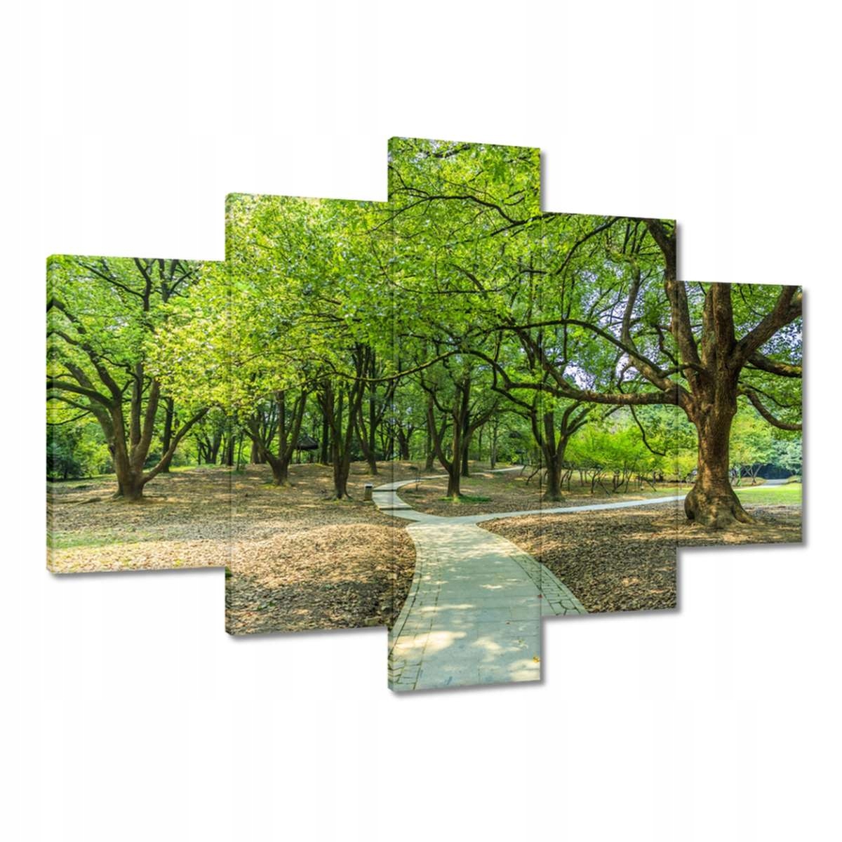 Obrazy 150x105 Zelený park s cestičkou