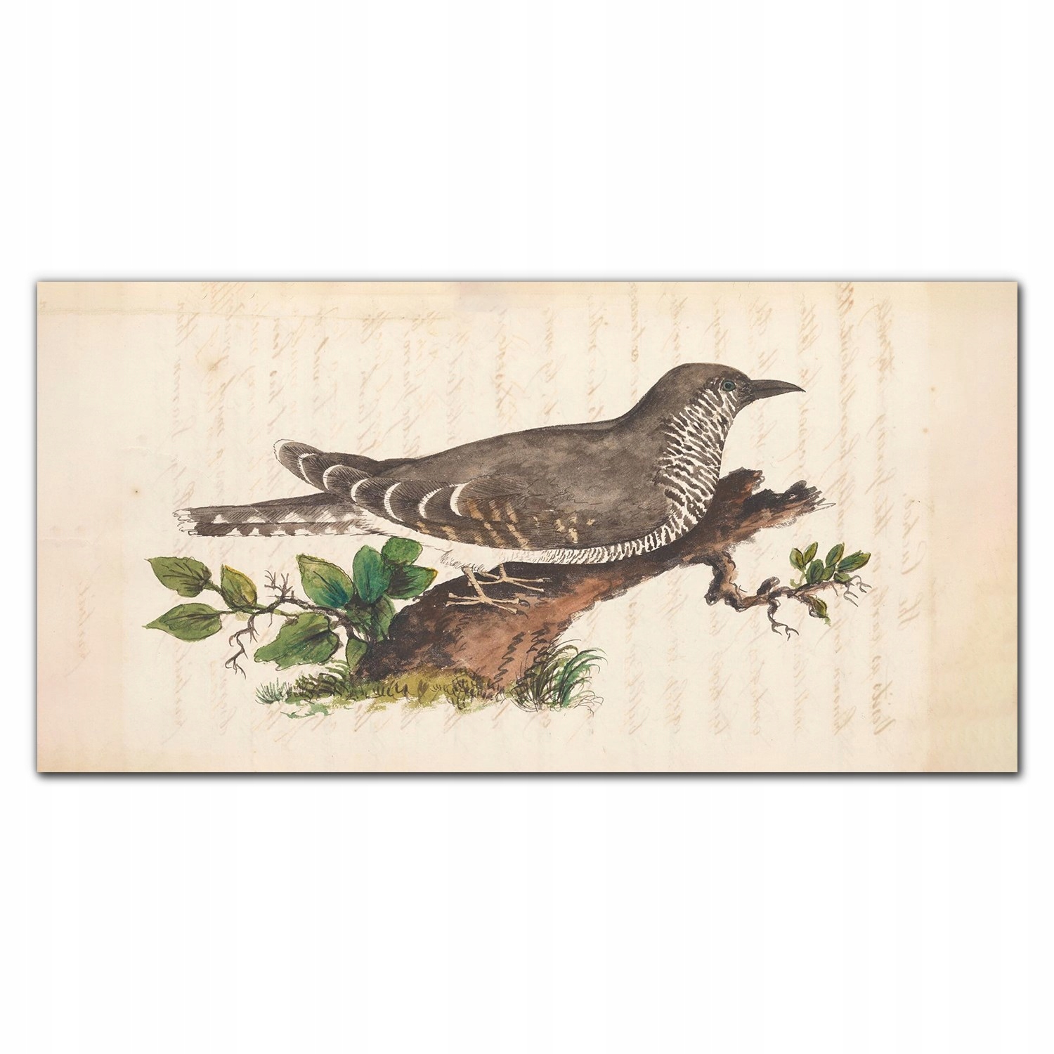 Nástenný fotoobraz na plátne Vták kresba 140x70