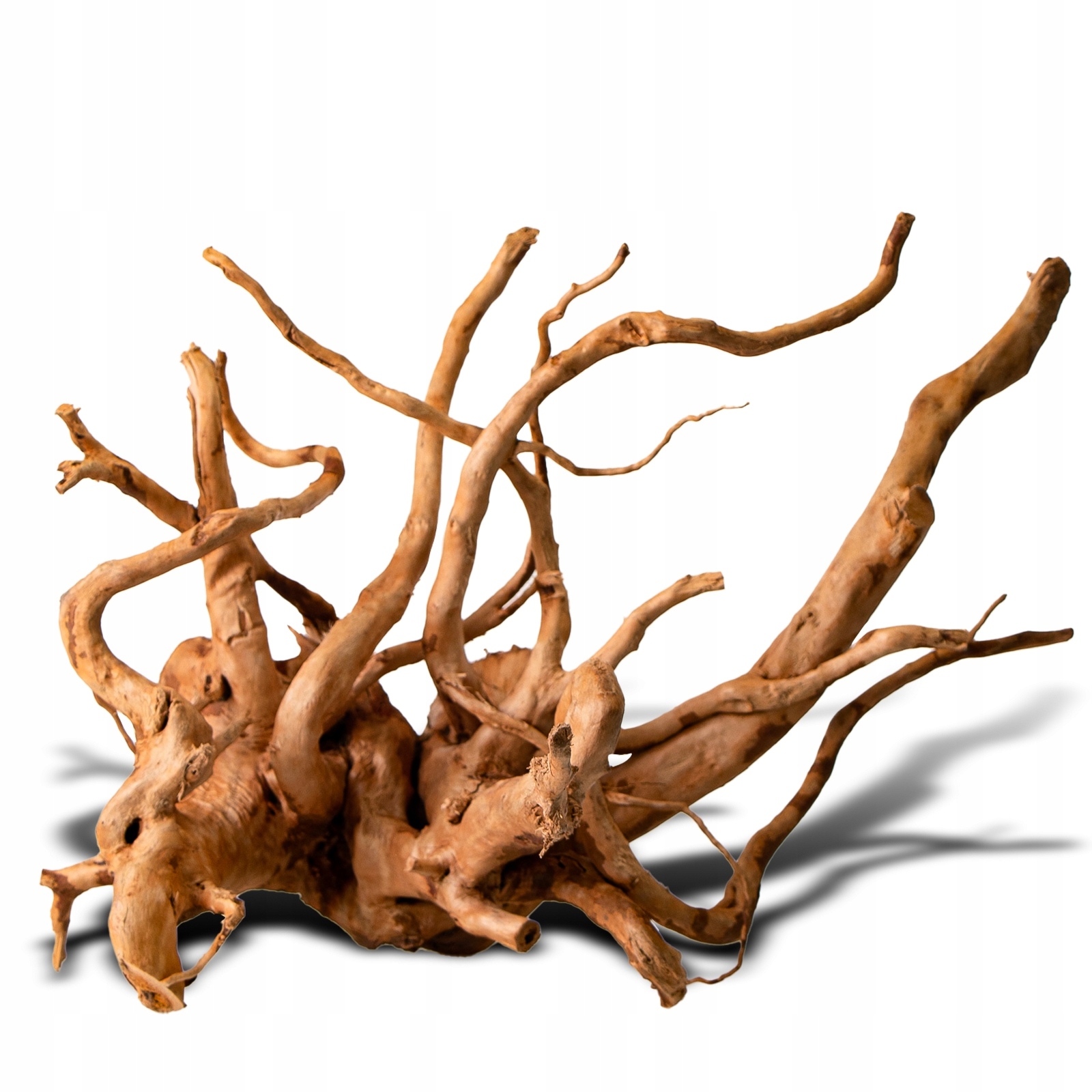 Levně Shizen Essence J-roots M střední japonské kořeny Mizube a Ryuboku