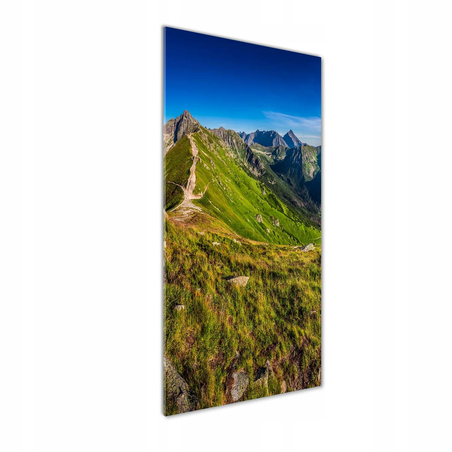 

Nowoczesny foto-obraz akryl na ścianę Tatry 50x125