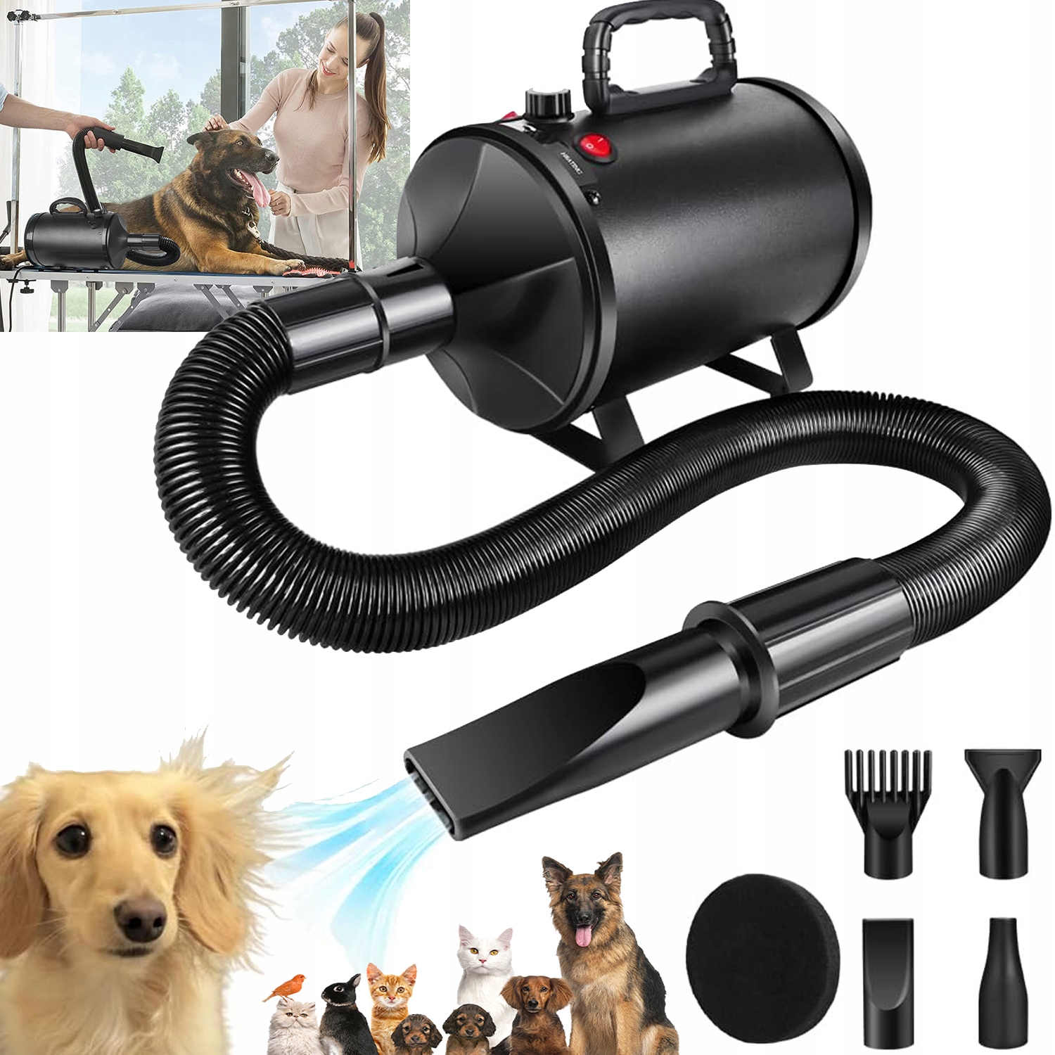 Profesjonalna Suszarka Do Zwierząt Psy Koty Do Salonu Groomerskiego 2800W