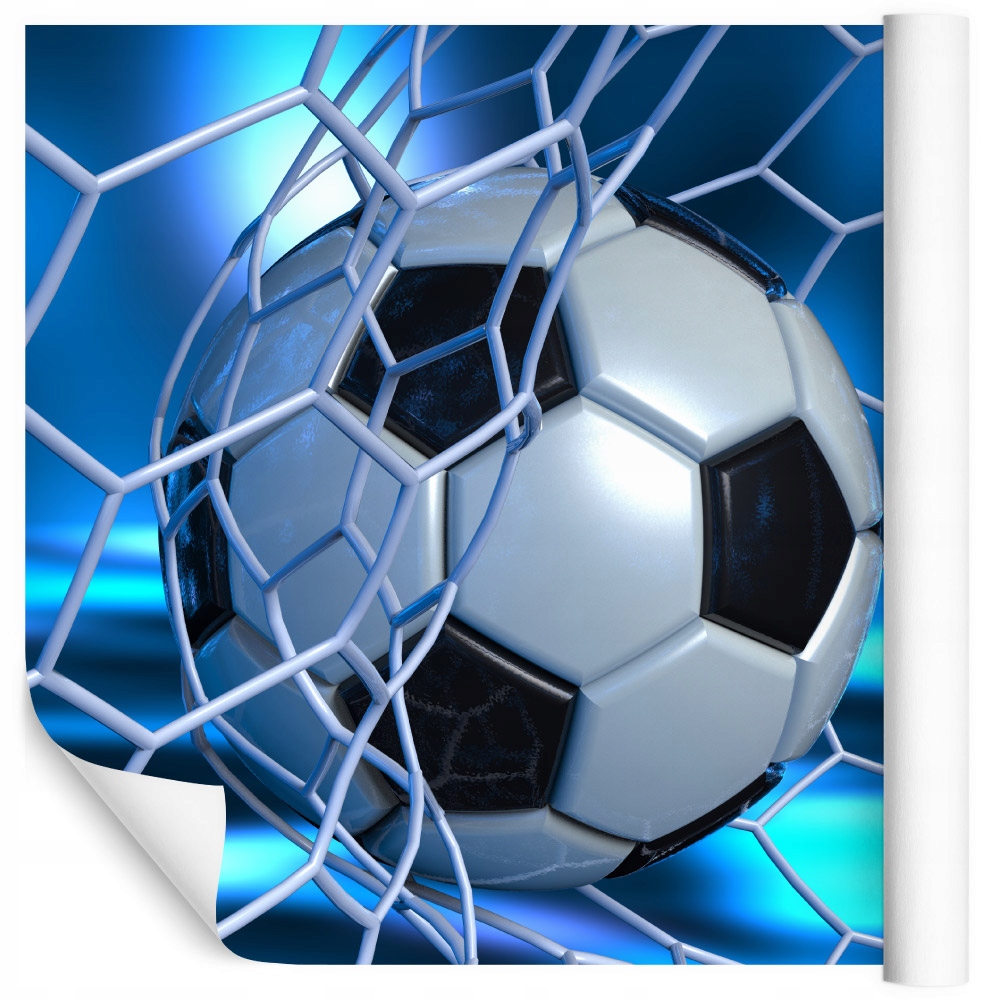 

Fototapeta sportowa 3D piłka w siatce 180x270