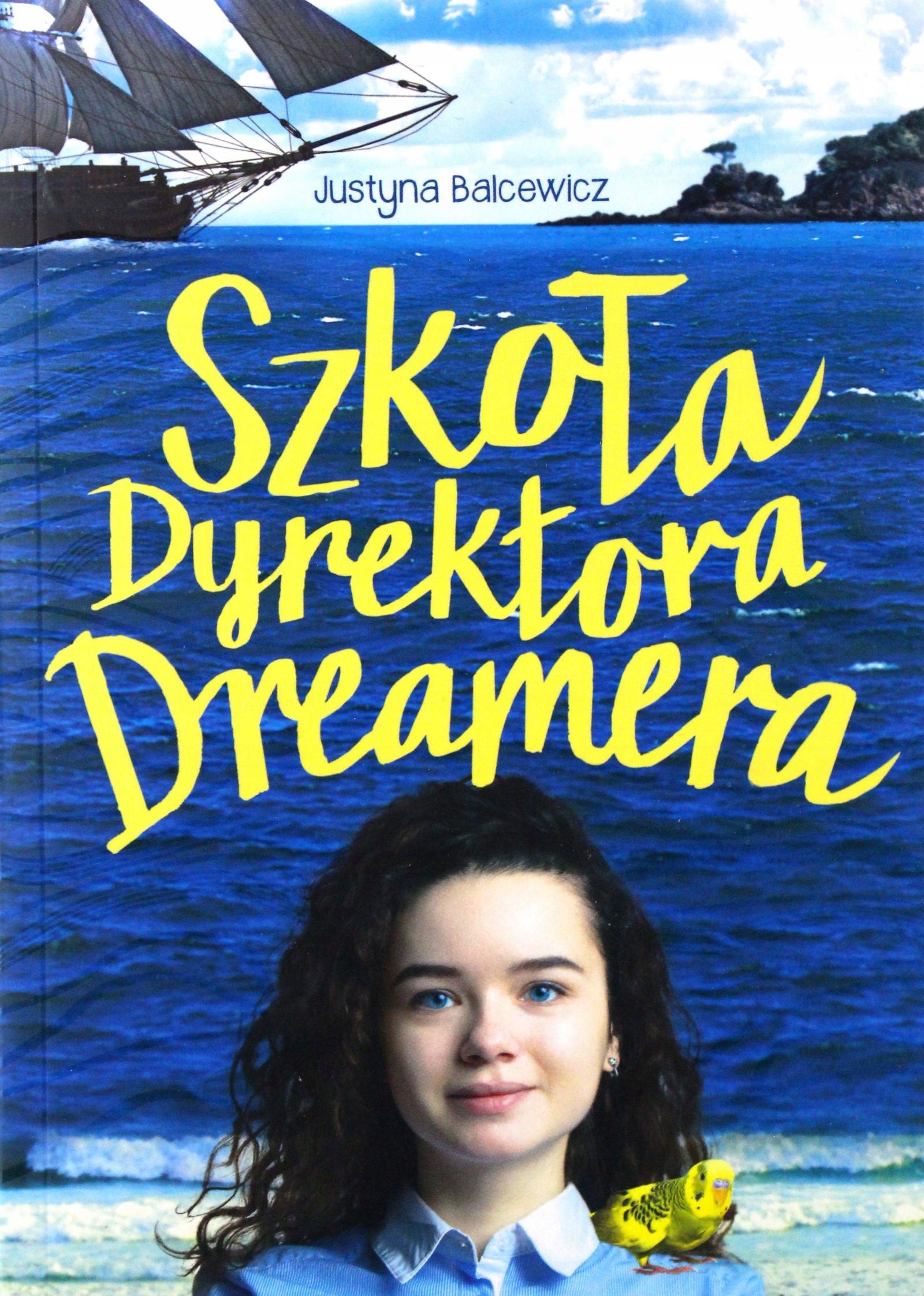 

Szkoła Dyrektora Dreamera Justyna Balcewicz (ksi