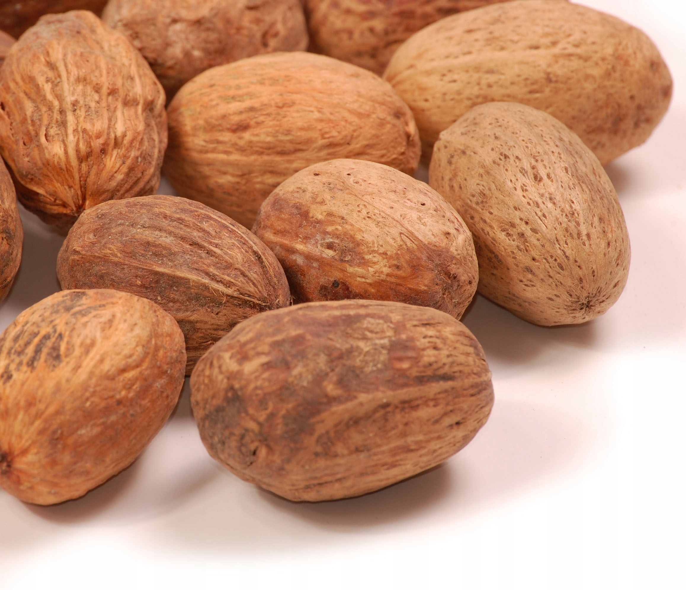 

Amra natura 500g susz dekoracyjny
