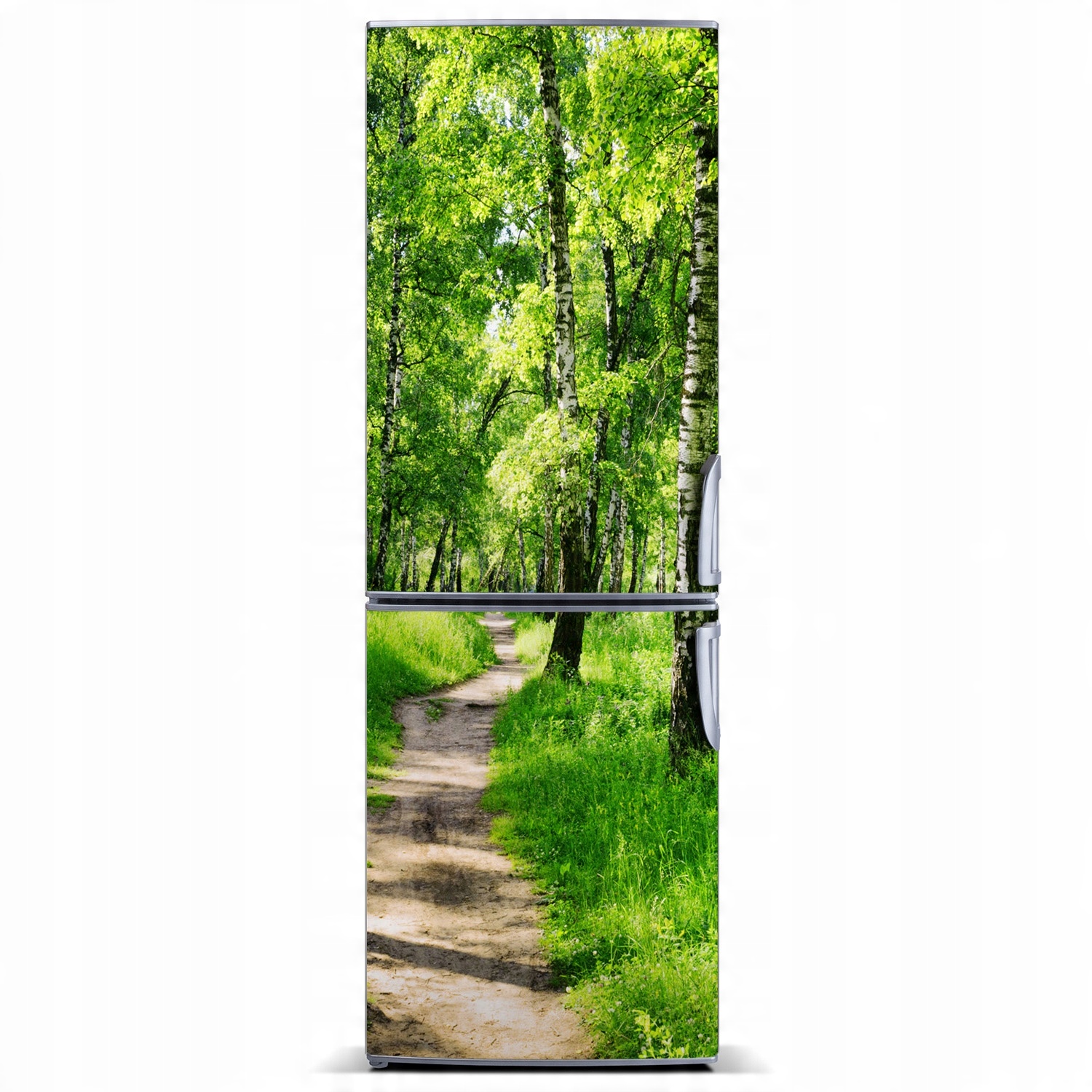 

Magnes fototapeta na lodówkę Las brzozowy 60x180