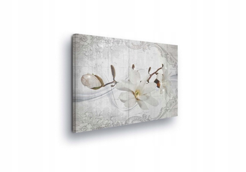 Obraz 80x60 Magnolie květina jemnost jaro kvetení botanika