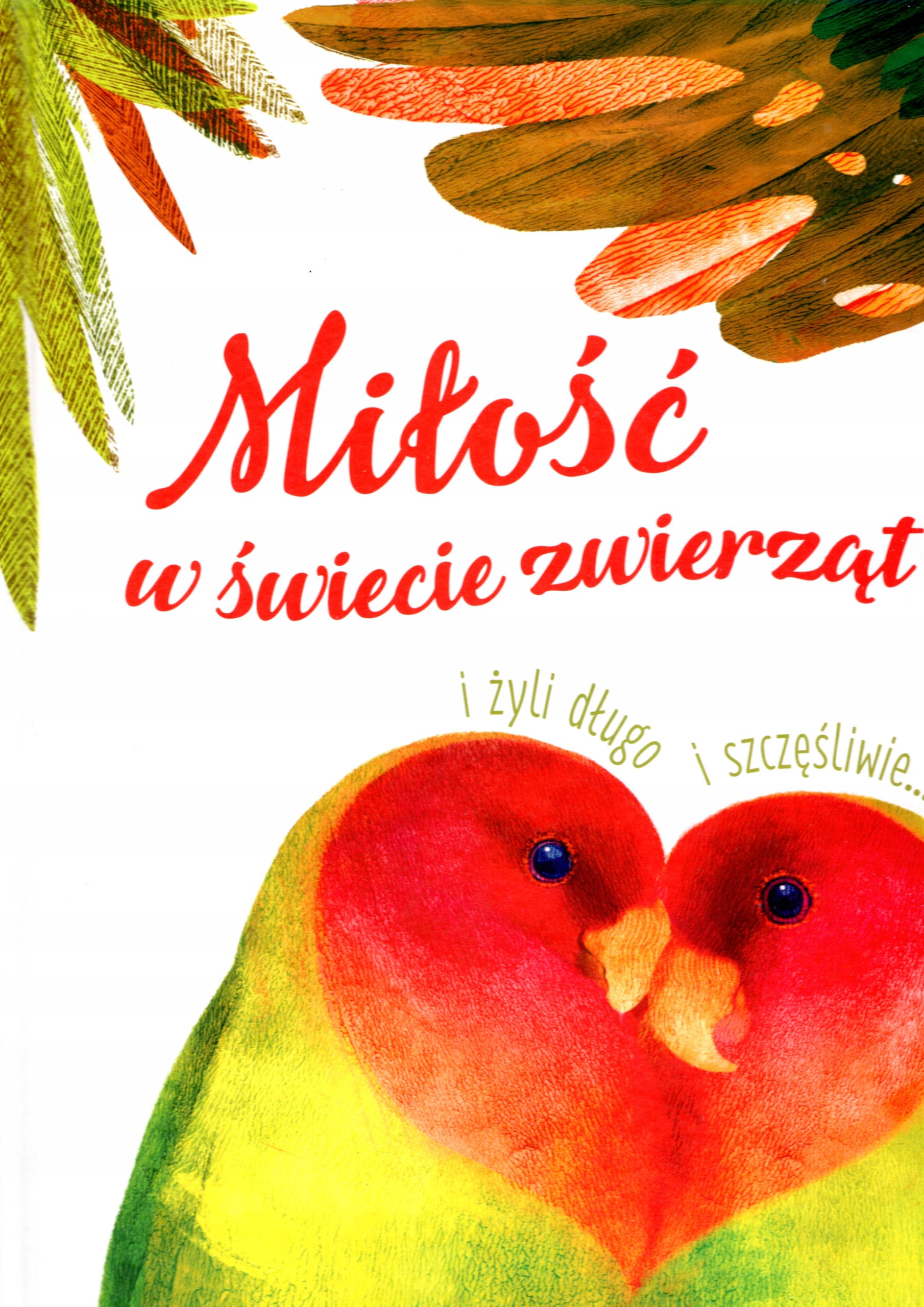 Miłość w świecie zwierząt Duża Książka