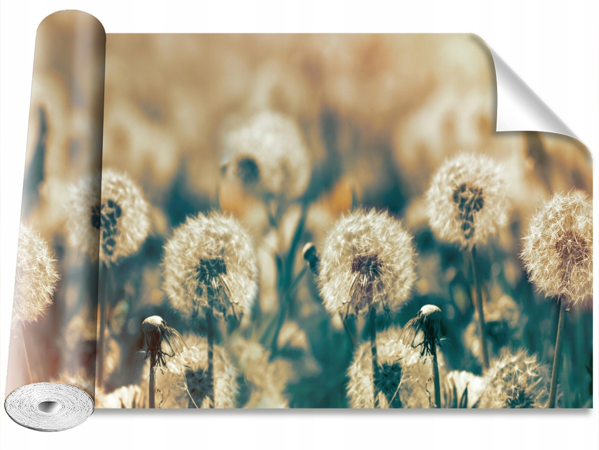 

Tapeta Samoprzylepna Dmuchawce Łąka 104x70