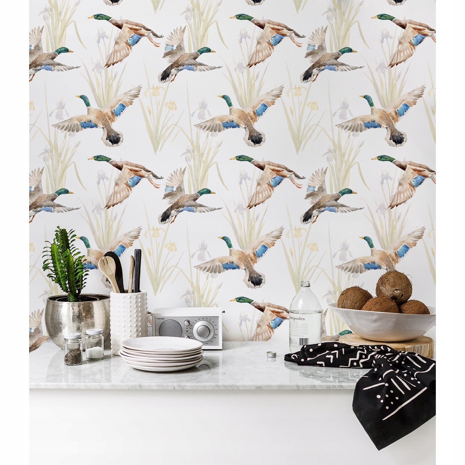 

Foto tapeta samoprzylepna Kacza rodzina 250x104 cm