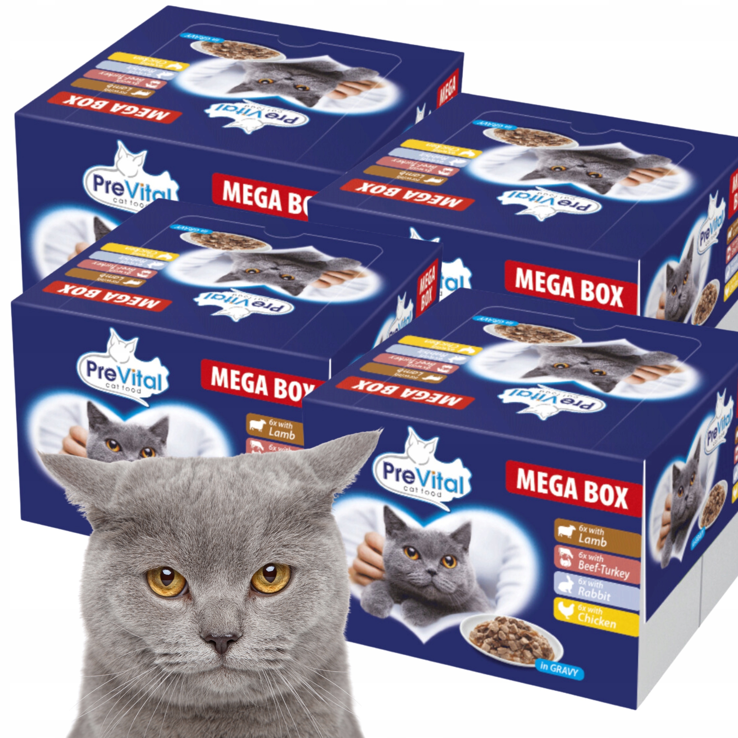 Levně PreVital Box Mix Chutí 96 x 100 g Sáčky