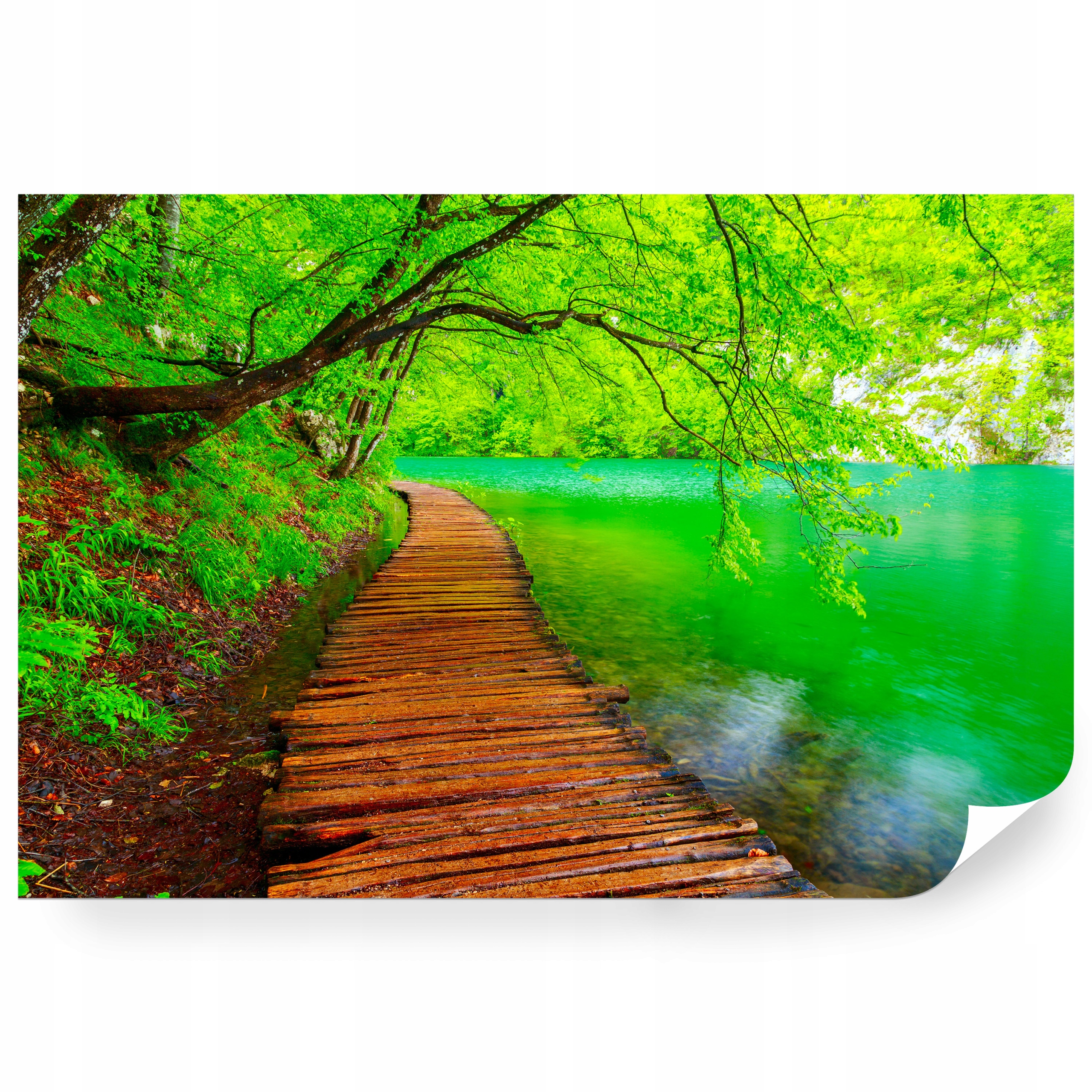 Fototapeta samolepicí Cesta V Plitvickém Parku 180 x 120 cm