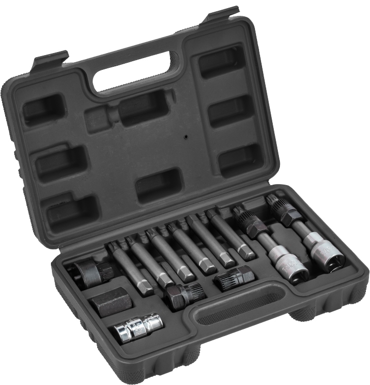 Zestaw do alternatorów ze sprzęgłem Hoegert