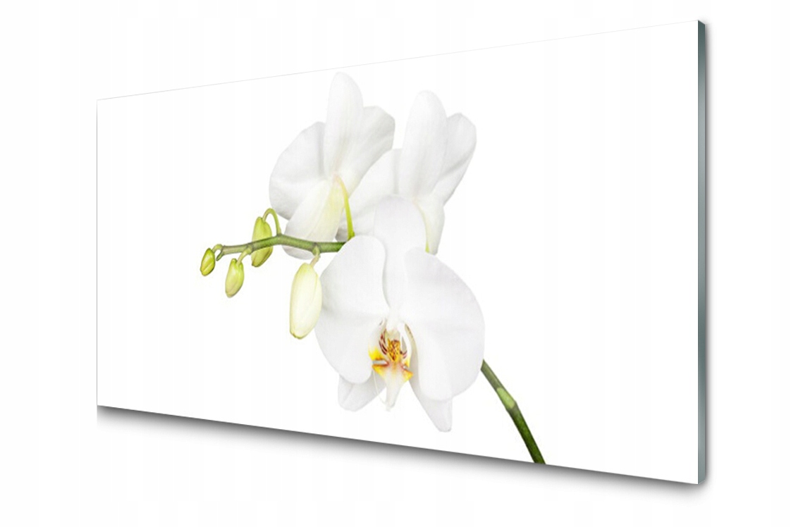 Obraz na skle Orchidej Květiny Příroda 100x50