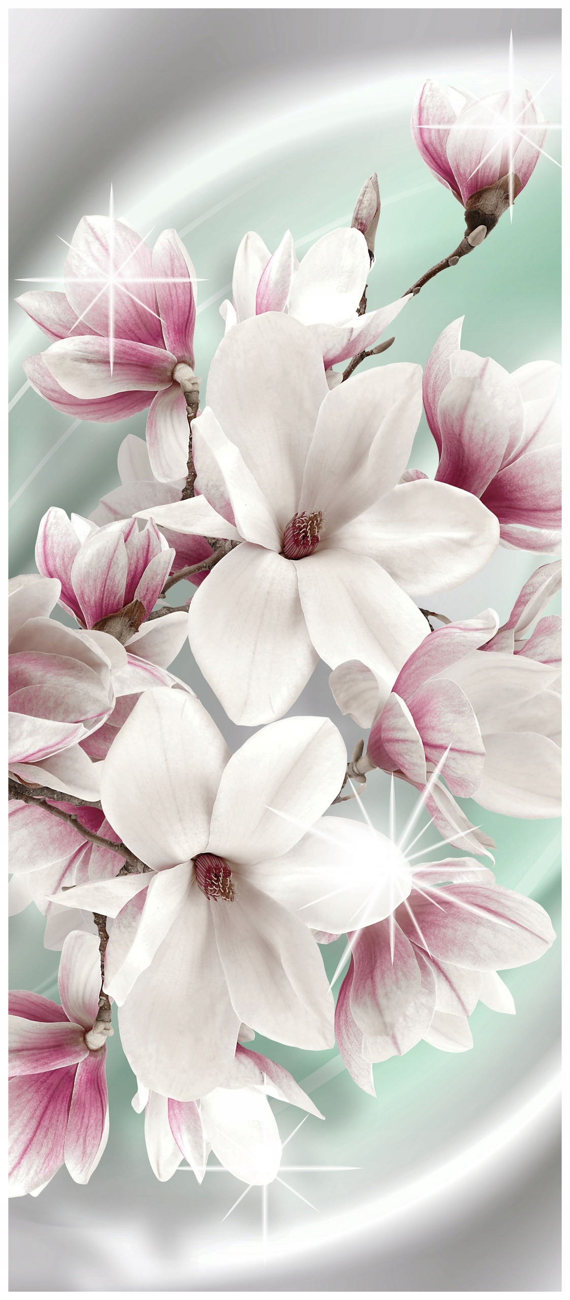 Samolepka Fototapeta Magnolie jemný rozkvět elegance 91x211