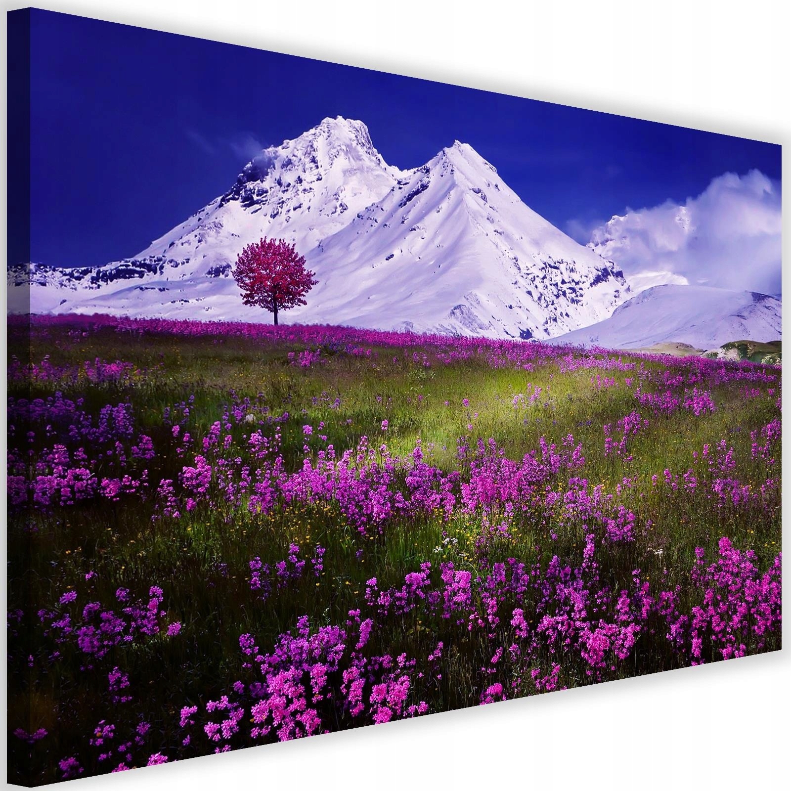 

Obraz Do Salonu Górski Krajobraz Kwiaty 120x80