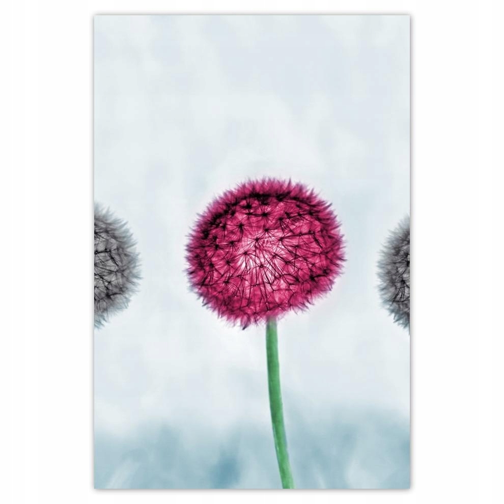

Plakaty 40x60 Szare z fioletowym