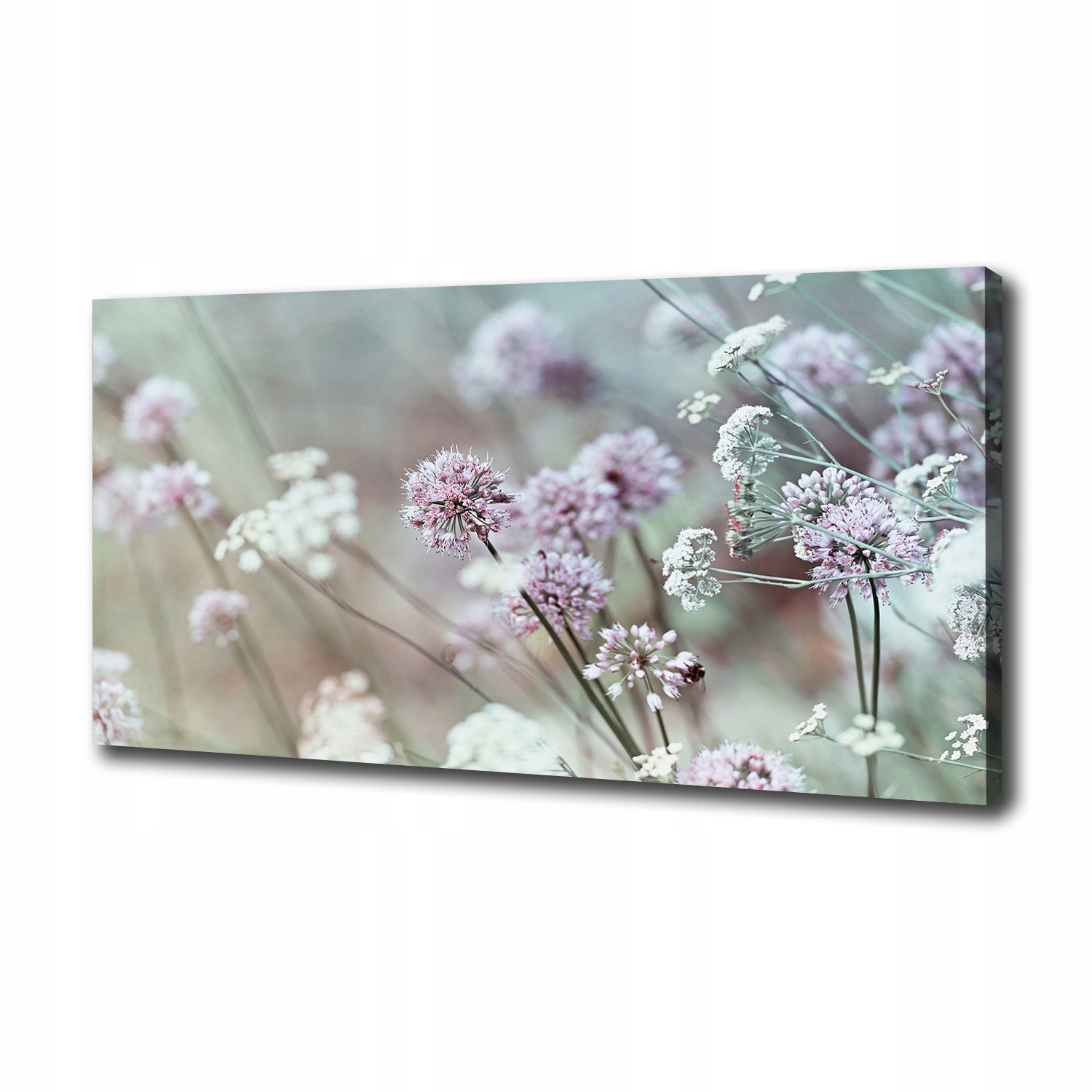 

Foto obraz na płótnie Dzikie kwiaty 100x50 cm
