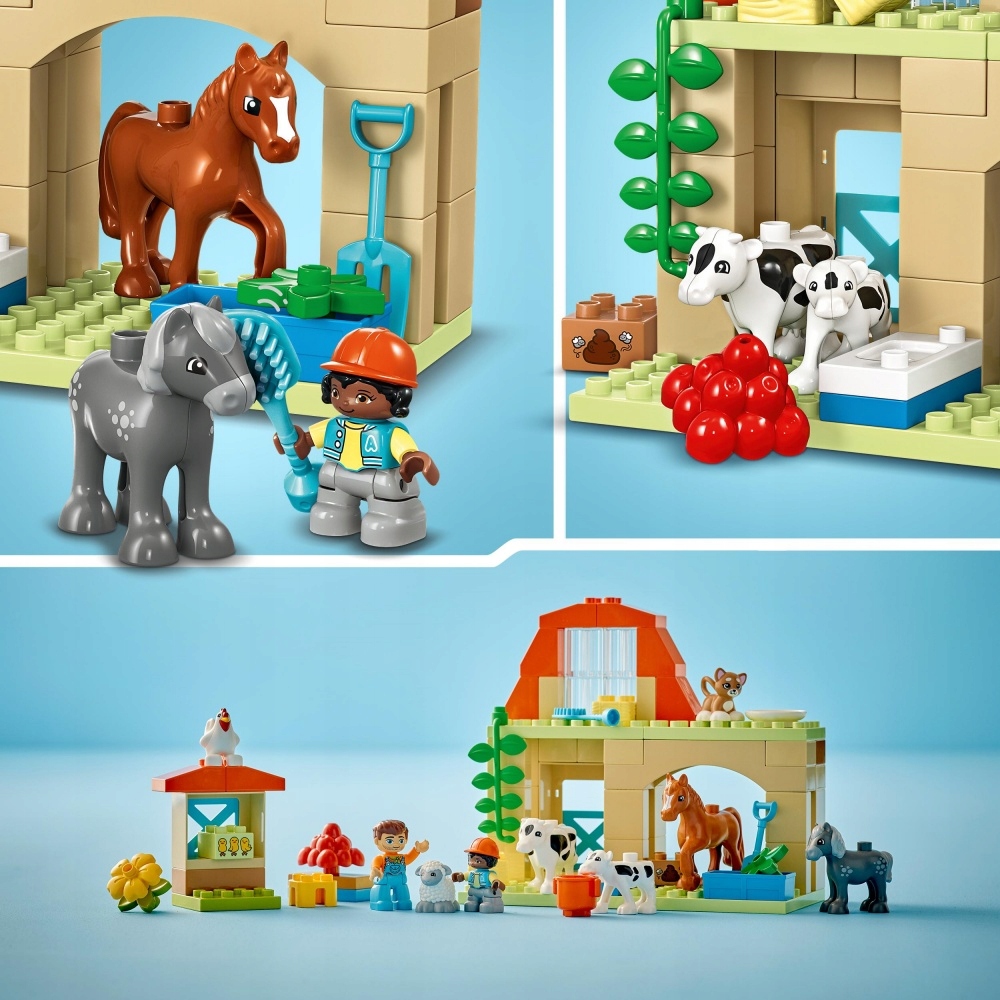 LEGO 10416 DUPLO Opieka nad zwierzętami na farmie Certyfikaty, opinie, atesty CE EN 71
