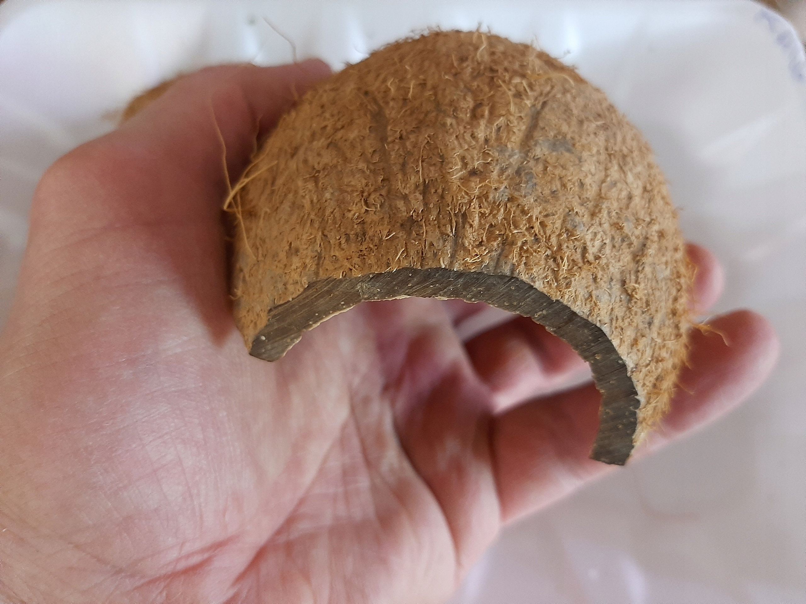 

Kokos połówka kryjówka Do akwarium, terrarium