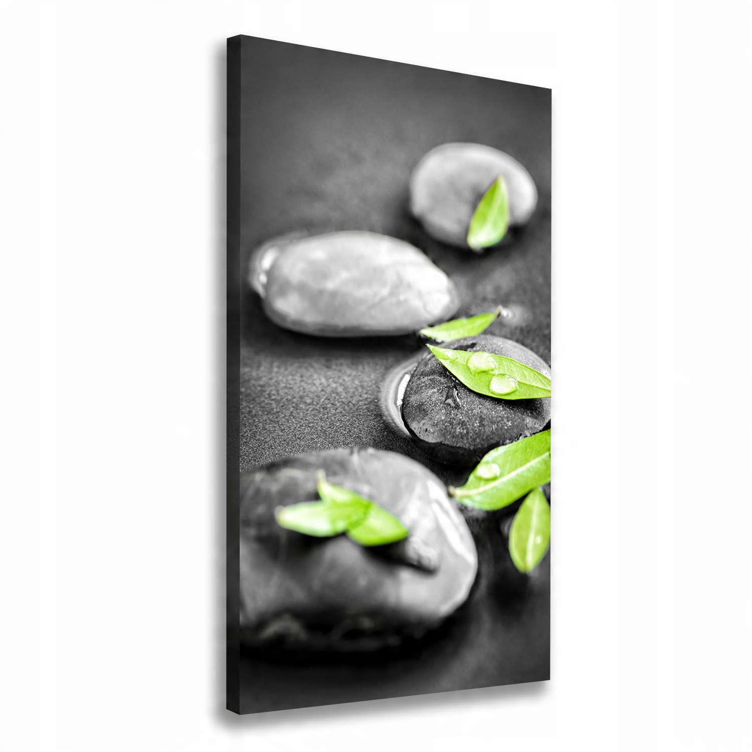 

Foto obraz na płótnie Liście kamienie zen 60x120cm
