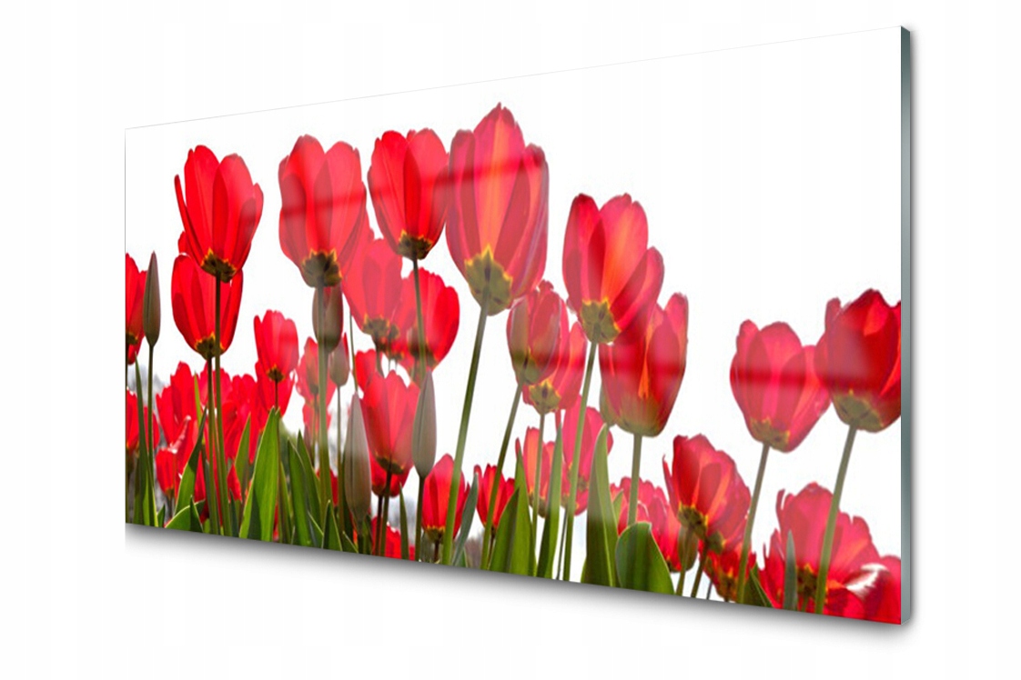 

Panel szklany dekor Płytka Kwiaty 140x70 + Klej