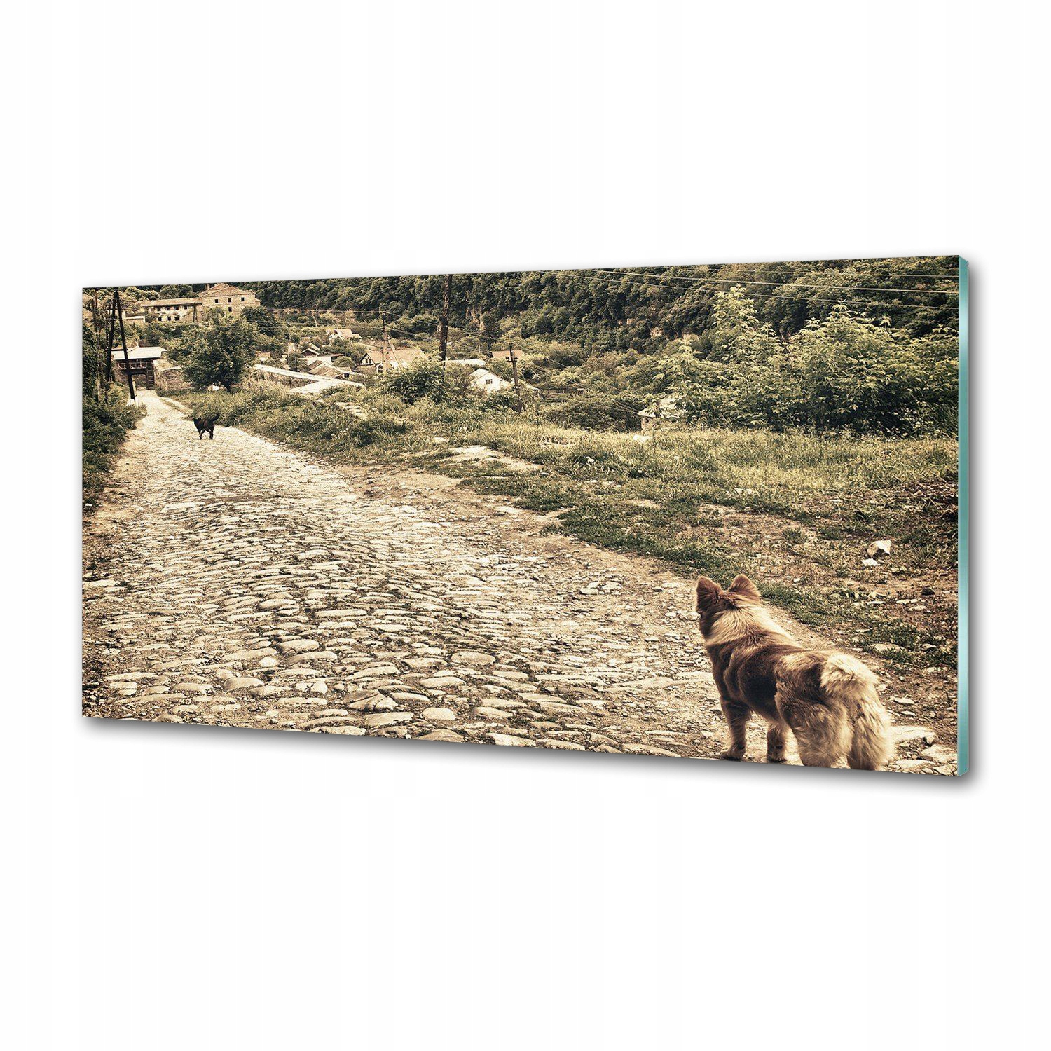 Panel do kuchyne Dva psy na kopci 100x50 Lepidlo