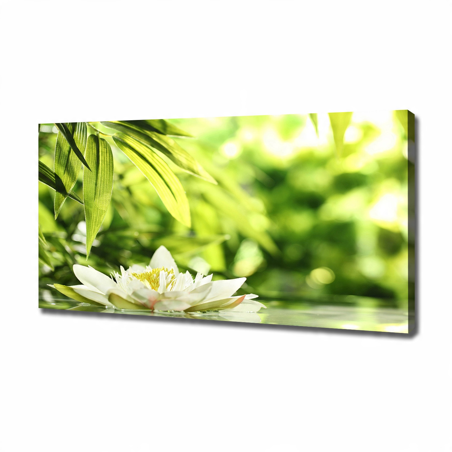 

Foto obraz canvas na ścianę Lilia wodna 120x60 cm