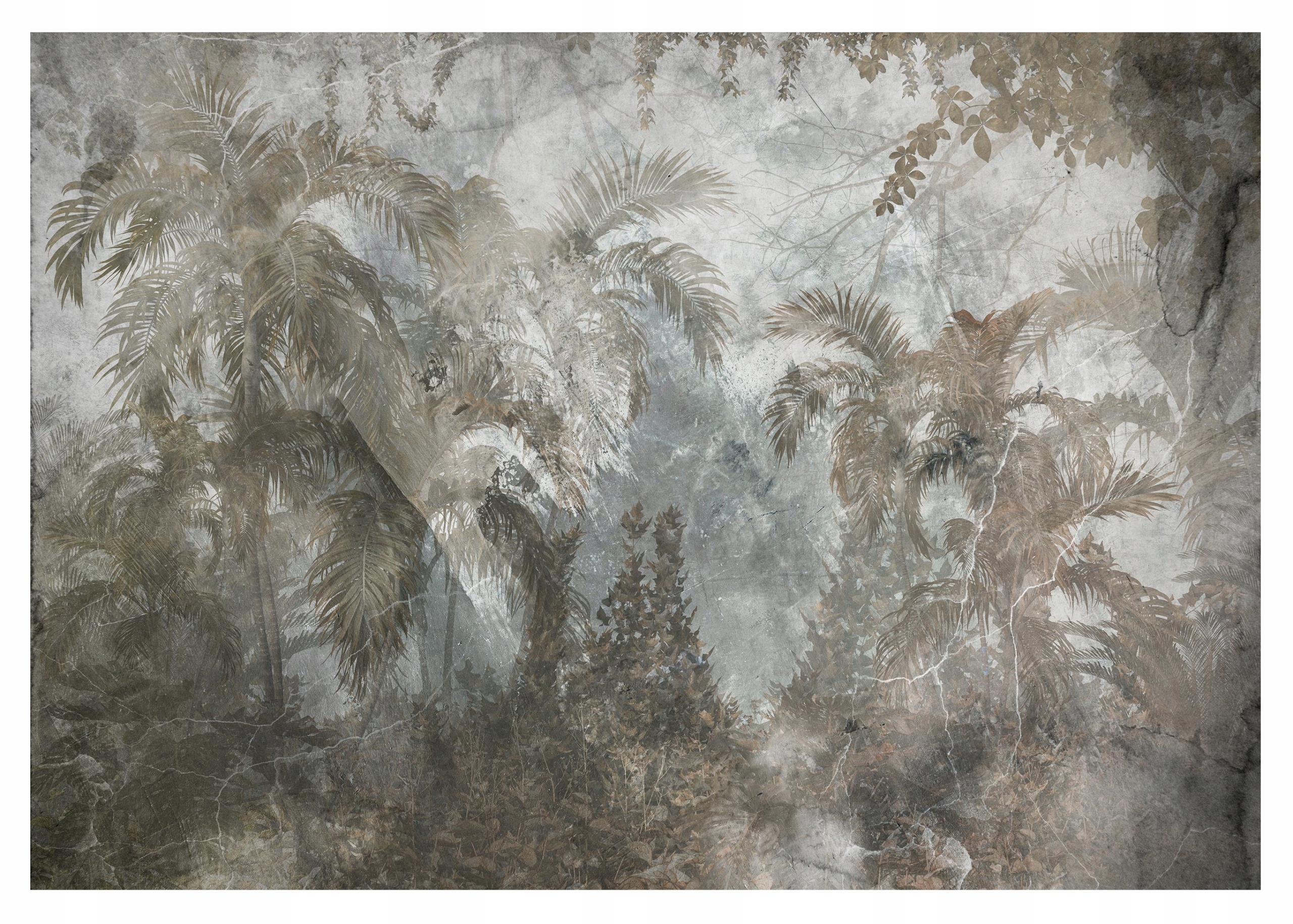 Fototapeta Listy Džungle Beton na zeď 416x254