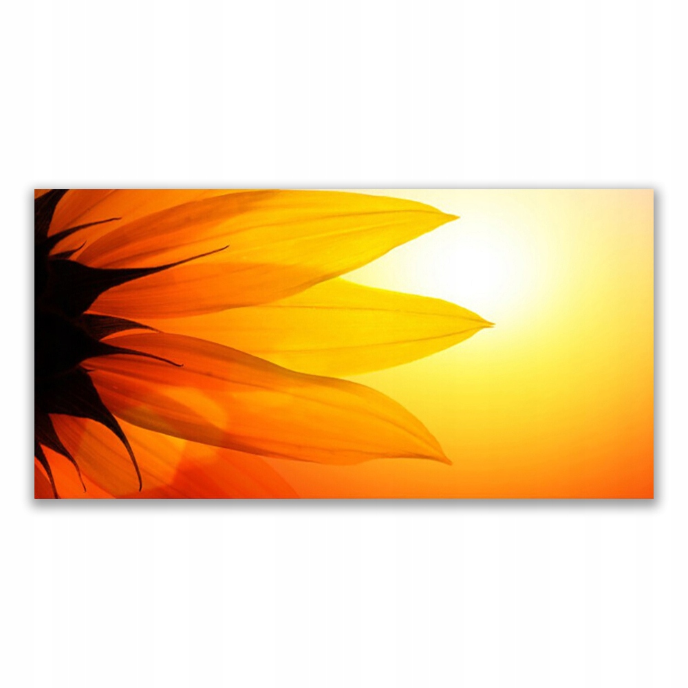 

Obraz akrylowy ścienny 120x60 Kwiat Roślina Natura