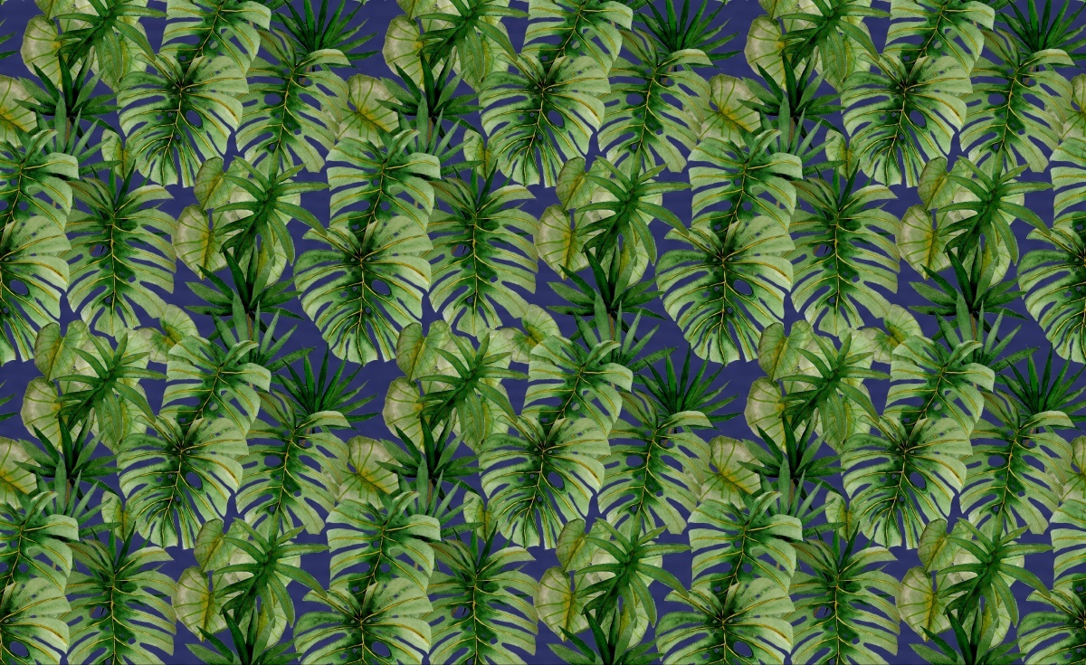 

Tapeta Flizelinowa Tropikalna monstera 416x254