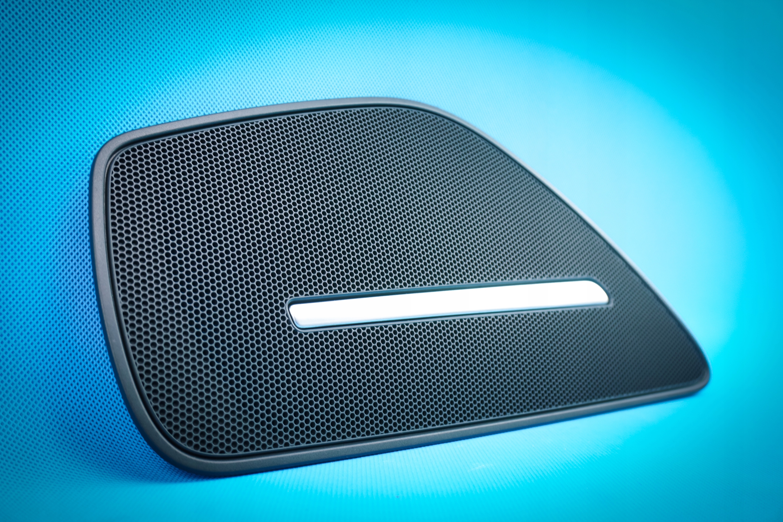 cap grid of the speaker door A8 4H 4H0868152A Bose
